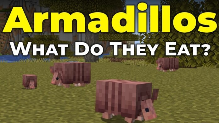 what do armadillos eat in minecraft